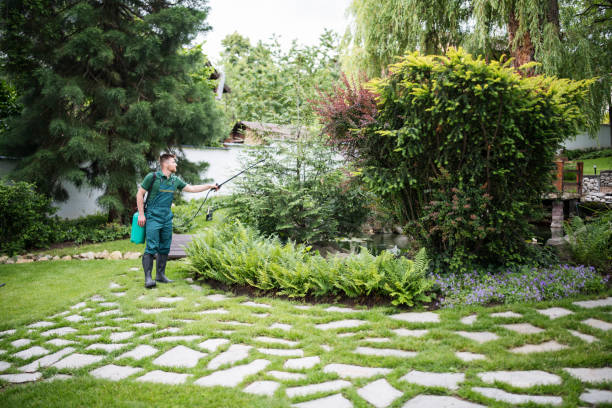 Best Affordable Pest Control Services  in Ashley, PA