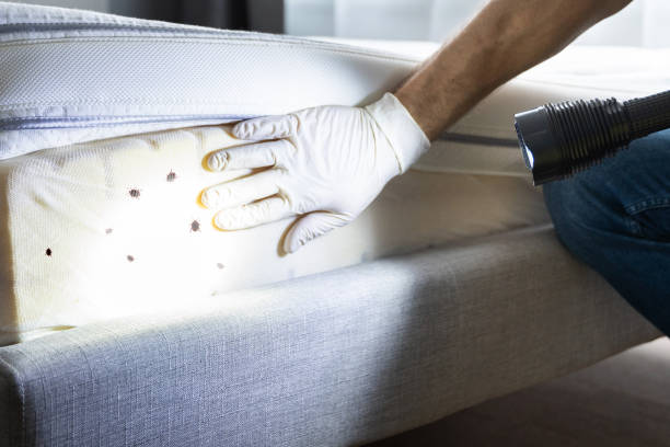 Best Wildlife Control Services  in Ashley, PA