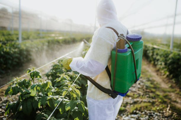 Best Commercial Pest Control Services  in Ashley, PA